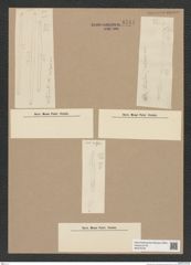 Diatomeae indet. Zeichnungen Sammlung Grunow Nr. 9744 (NHMW-BOT-W0379726)